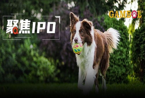 乖寶寵物境外重大訴訟懸而未決，利潤空間受境內外雙重擠壓，寵物食品銷售困局待解